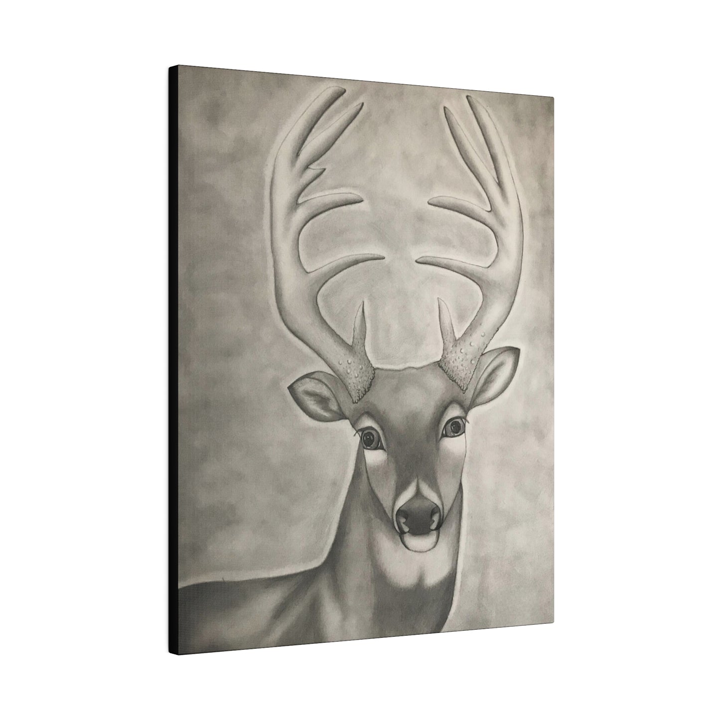 Whitetail Deer, Matte Canvas, Stretched, 0.75"
