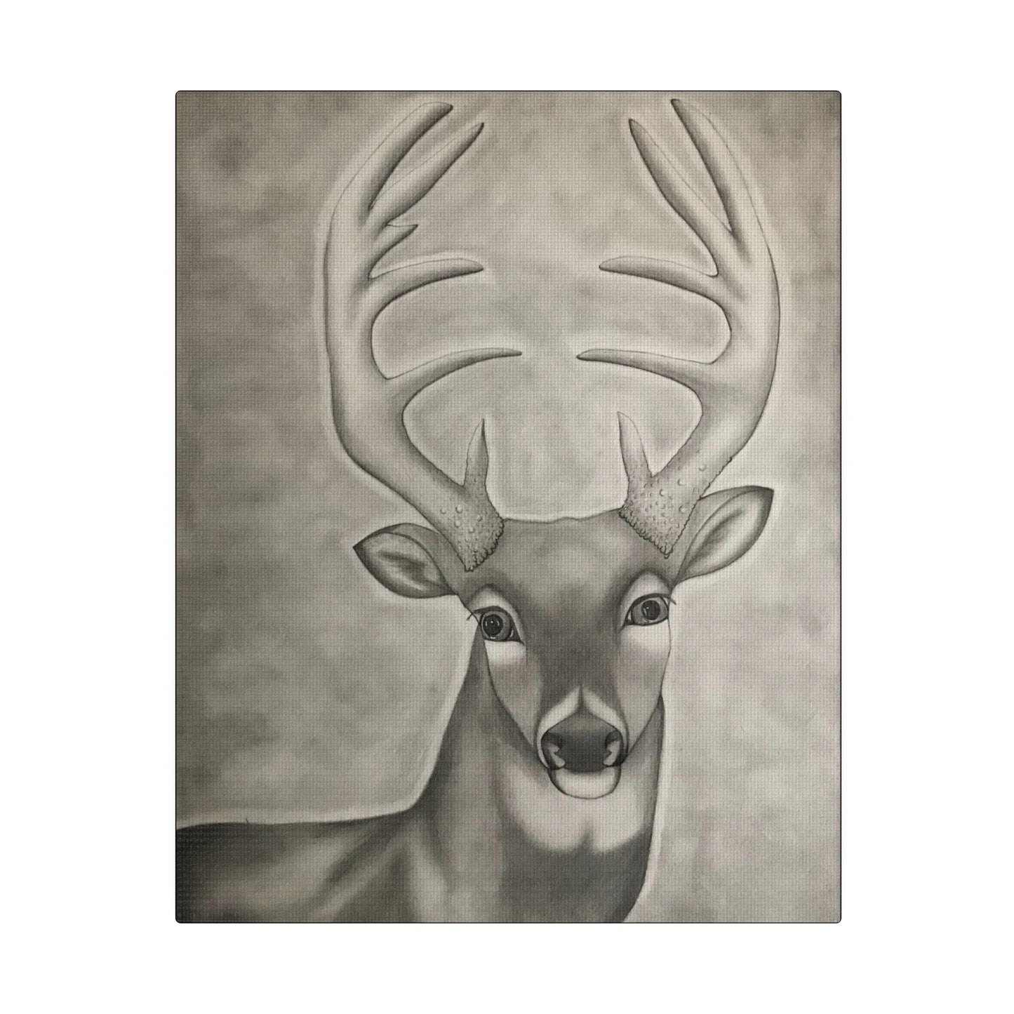 Whitetail Deer, Matte Canvas, Stretched, 0.75"